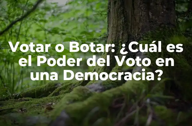 Votar o Botar: ¿cuál es el Poder Del Voto en una Democracia?