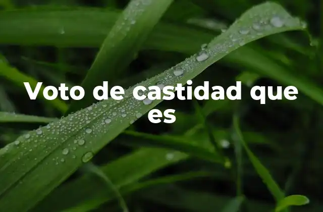 Voto de Castidad que es