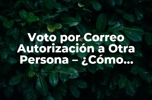 Voto por Correo Autorización a Otra Persona – ¿cómo Funciona?