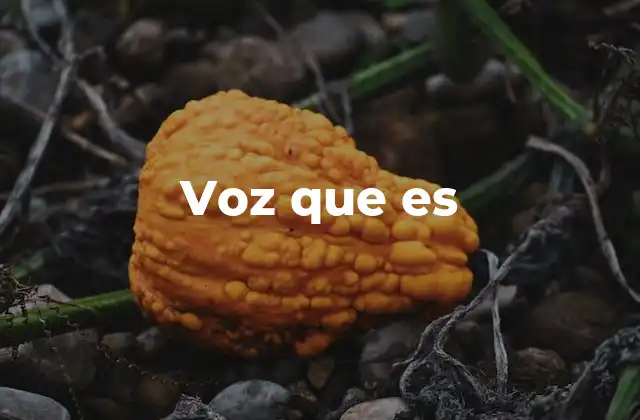 Voz que es