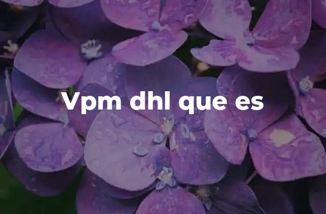 Vpm Dhl que es