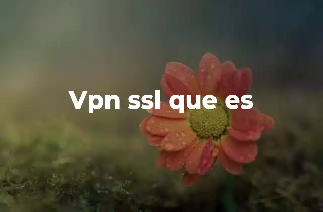 Vpn Ssl que es