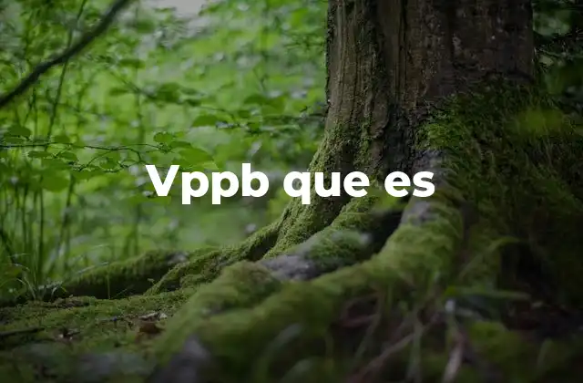 Vppb que es