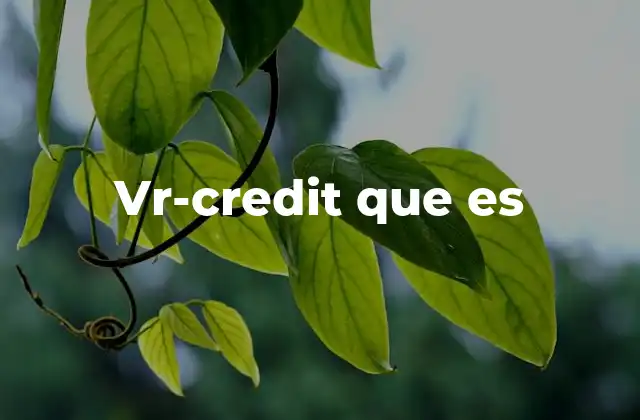 Vr-credit que es