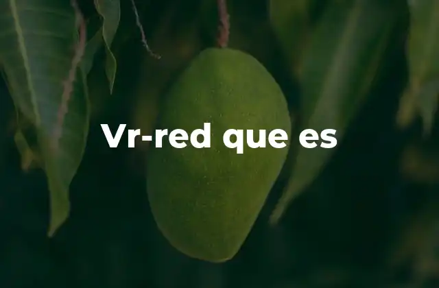 Vr-red que es