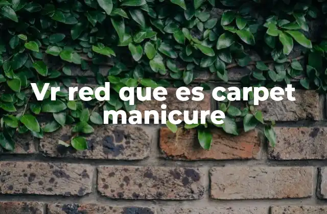 Vr Red que es Carpet Manicure