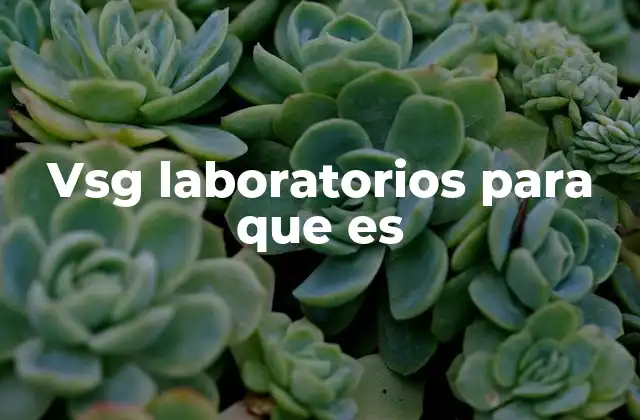 El rol de VSG Laboratorios en la salud pública