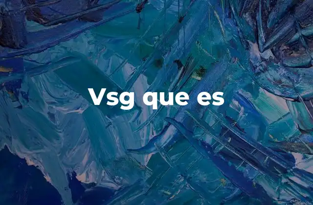 Vsg que es