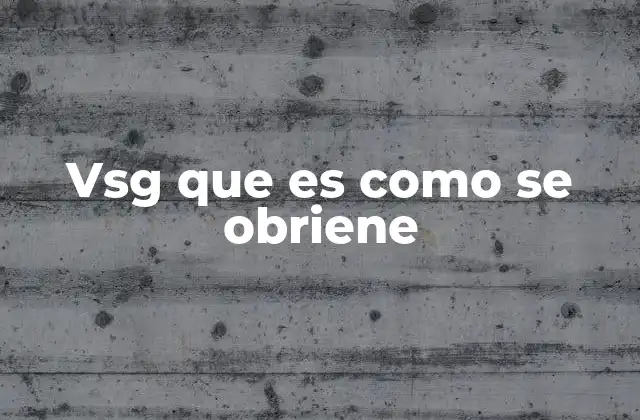 Vsg que es como Se Obriene