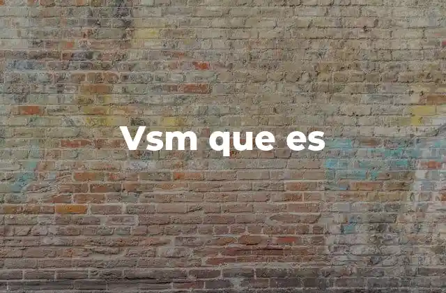 Vsm que es