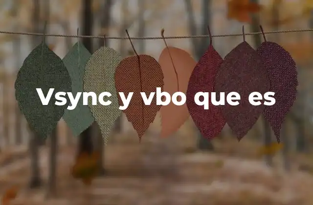 Vsync y Vbo que es
