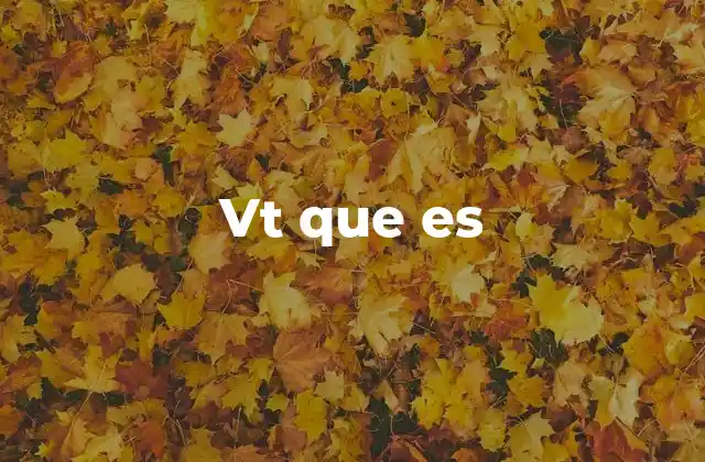 Vt que es