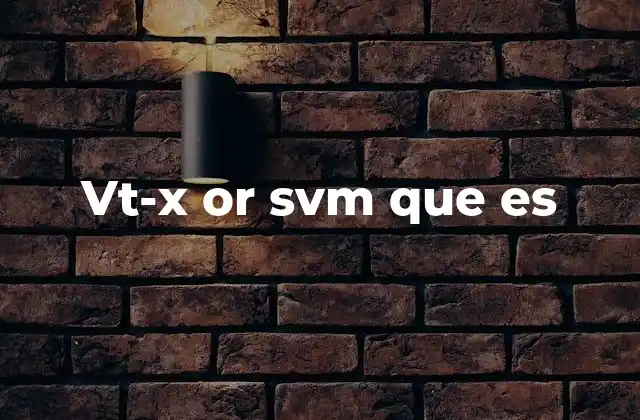 Vt-x Or Svm que es