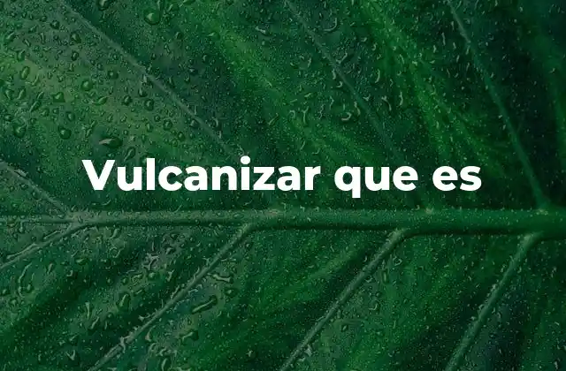 Vulcanizar que es