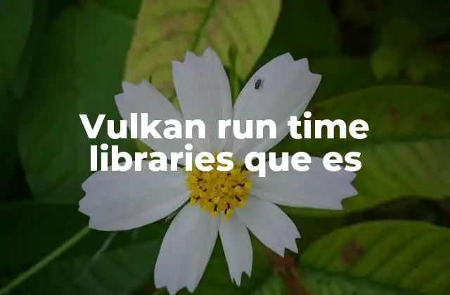 Vulkan Run Time Libraries que es 2 La importancia de las bibliotecas de tiempo de ejecución en gráficos por computador