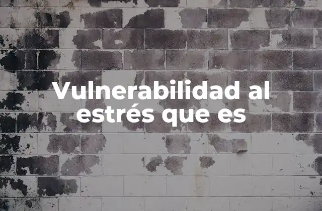 Vulnerabilidad Al Estrés que es 2 Factores que influyen en la susceptibilidad al estrés