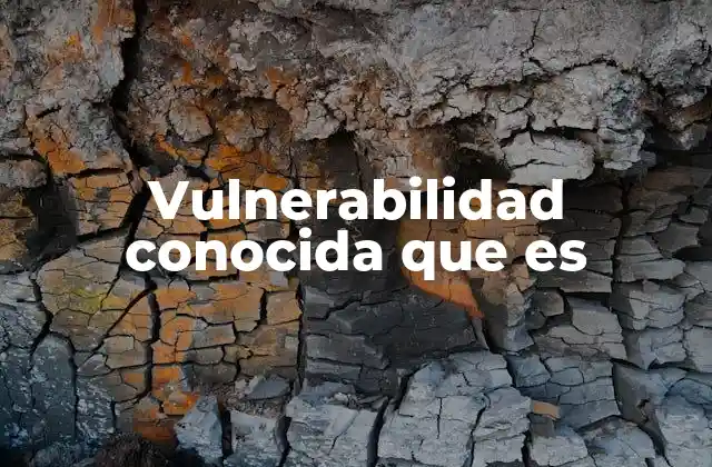 Vulnerabilidad Conocida que es 2 La importancia de identificar las debilidades en los sistemas