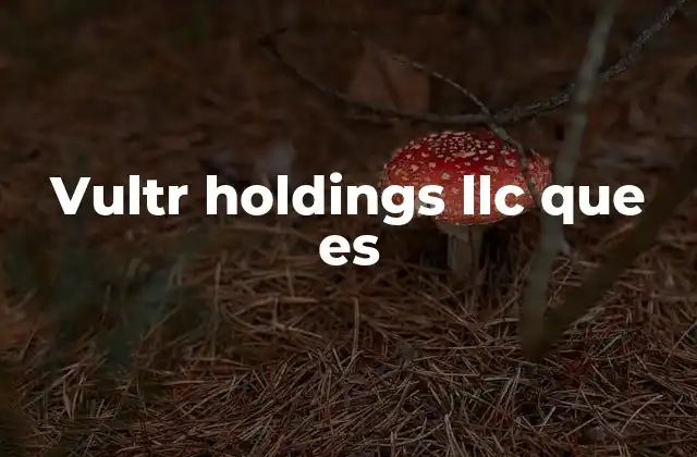 Vultr Holdings Llc que es