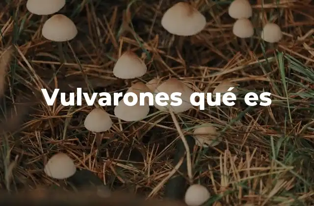 Vulvarones Qué es