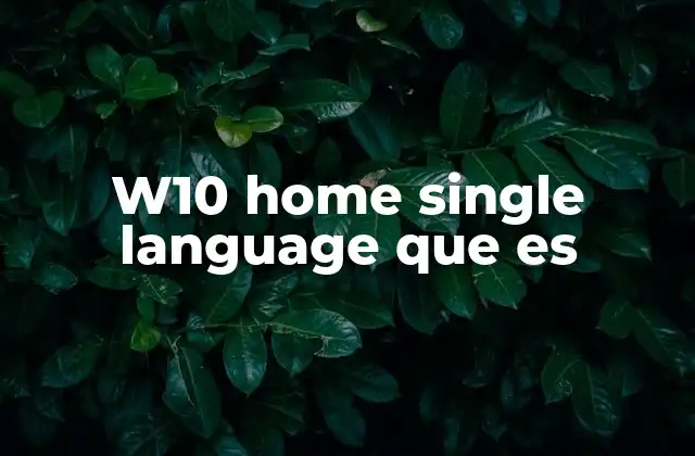 W10 Home Single Language que es
