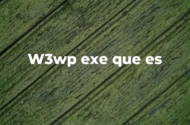 W3wp Exe que es