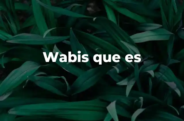 El uso de wabis que es en el lenguaje digital