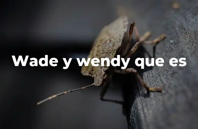 Wade y Wendy que es