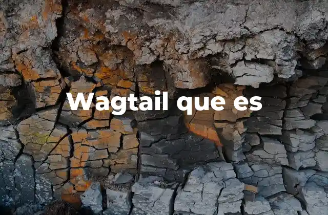 Wagtail que es