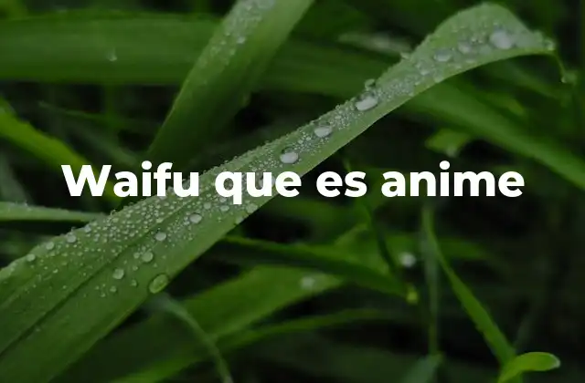 Waifu que es Anime