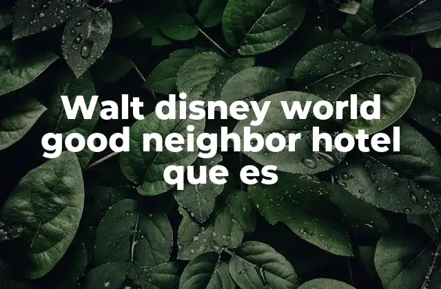 Walt Disney World Good Neighbor Hotel que es