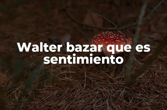 La importancia de entender el sentimiento en el contexto filosófico