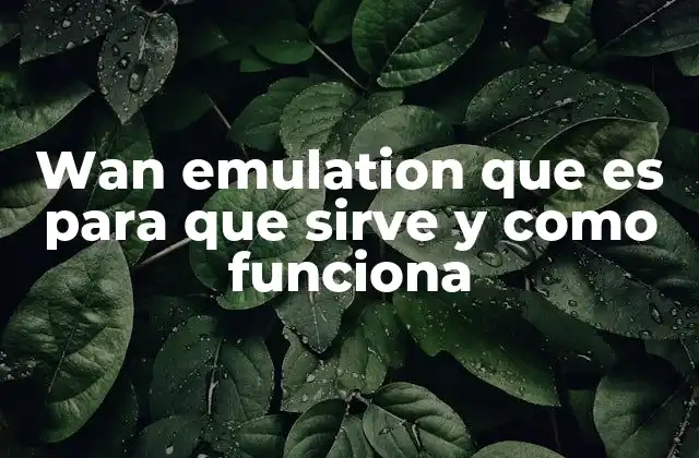 La importancia de simular condiciones de red en entornos virtuales