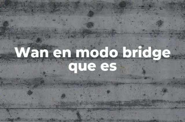Wan en Modo Bridge que es