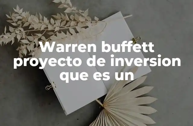 Warren Buffett Proyecto de Inversion que es un
