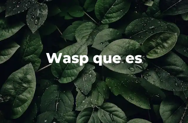 Wasp que es