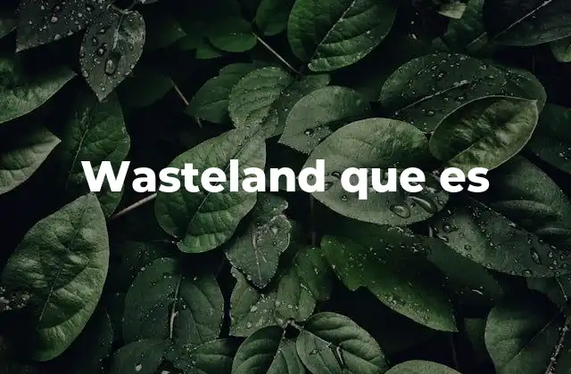 Wasteland que es