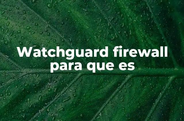 Watchguard Firewall para que es