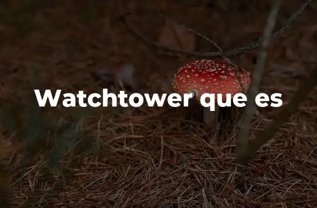 Watchtower que es