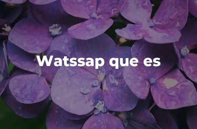 Watssap que es