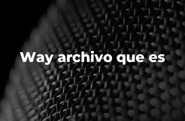 Way Archivo que es