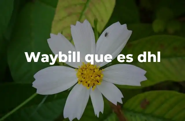 Waybill que es Dhl