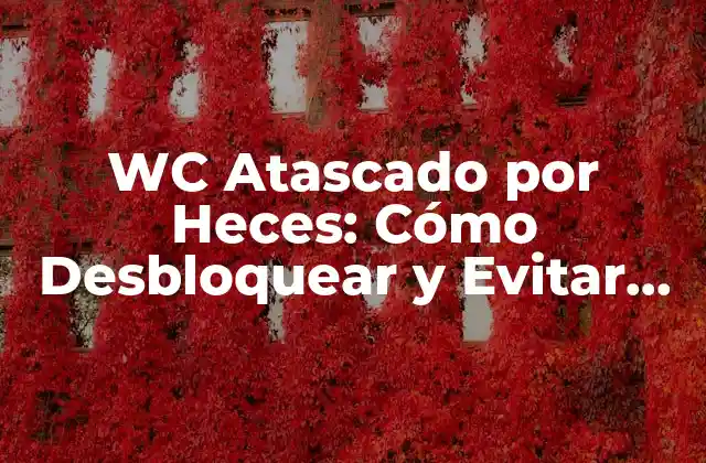 Causas Comunes de un WC Atascado por Heces