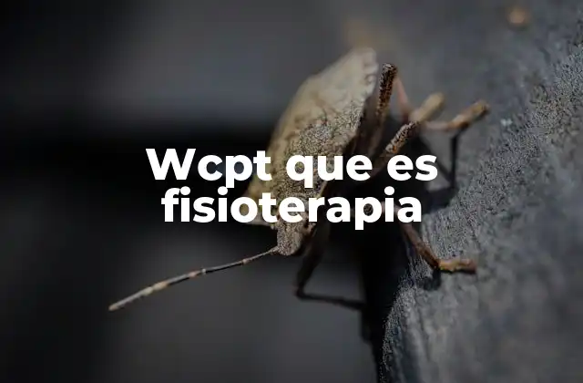 Wcpt que es Fisioterapia