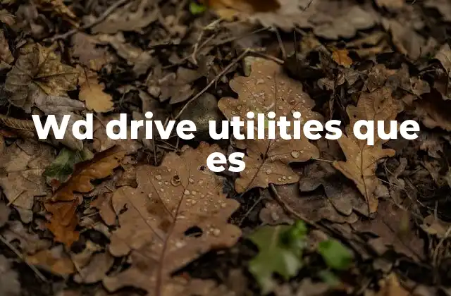 Wd Drive Utilities que es
