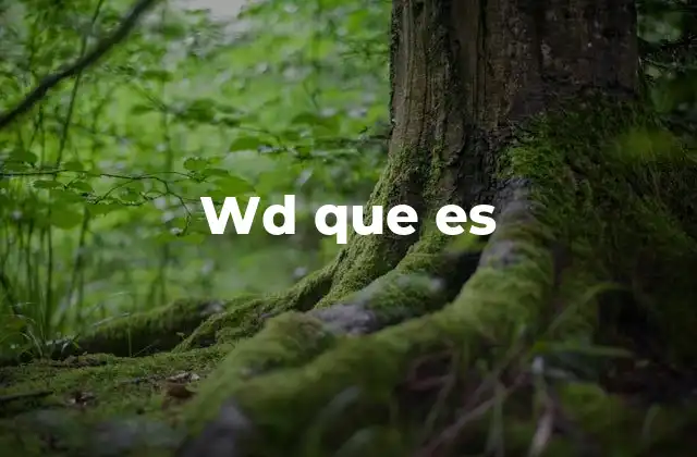 Wd que es