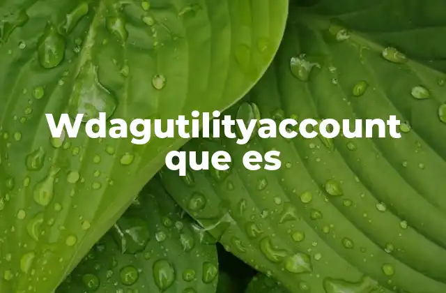 Wdagutilityaccount que es 2 Funcionamiento interno de WDAG y la cuenta asociada