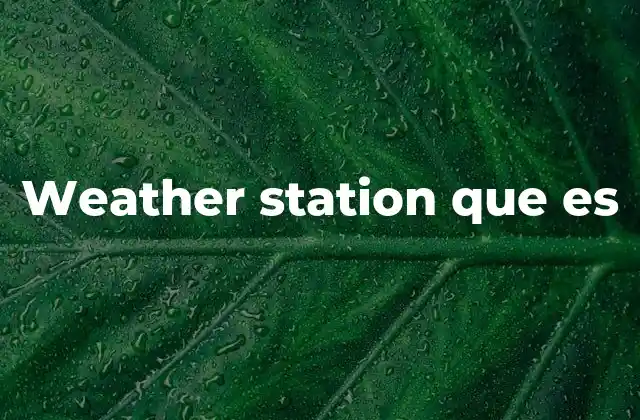 Weather Station que es
