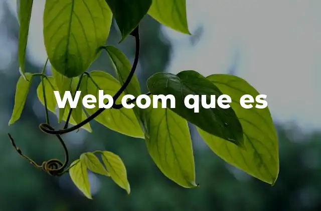 Web Com que es