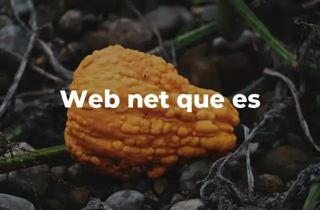 Web Net que es