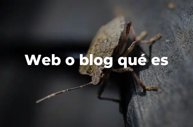 Web o Blog Qué es